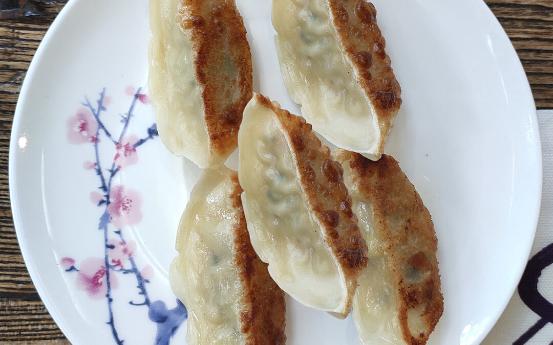 Pan-fried chicken and  vegetable dumplings